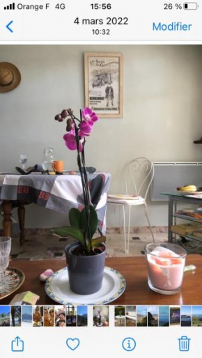 Chez Petra